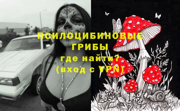 крисы Абаза