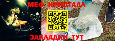 крисы Кингисепп