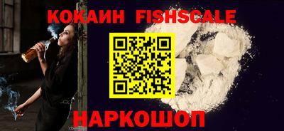 индика Камышлов