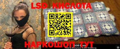 индика Камышлов