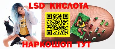 индика Камышлов