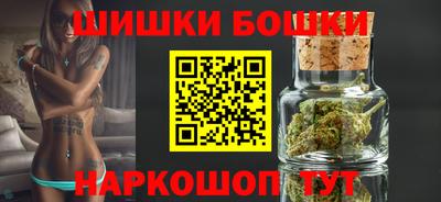 индика Камышлов