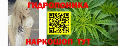jwh Кандалакша