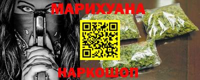 индика Камышлов