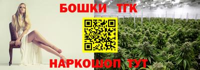 индика Камышлов
