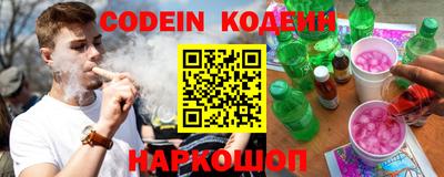 индика Камышлов