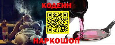 индика Камышлов