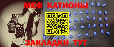 индика Камышлов