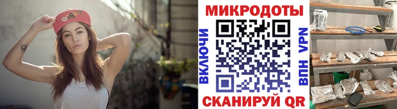 omg зеркало  Кызыл  Галлюциногенные грибы Cubensis 