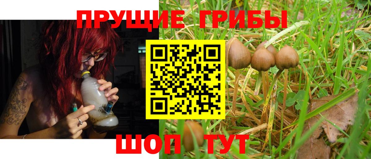 Кызыл  Псилоцибиновые грибы Cubensis  Псилоцибиновые грибы ЛСД  Вход с VPN 