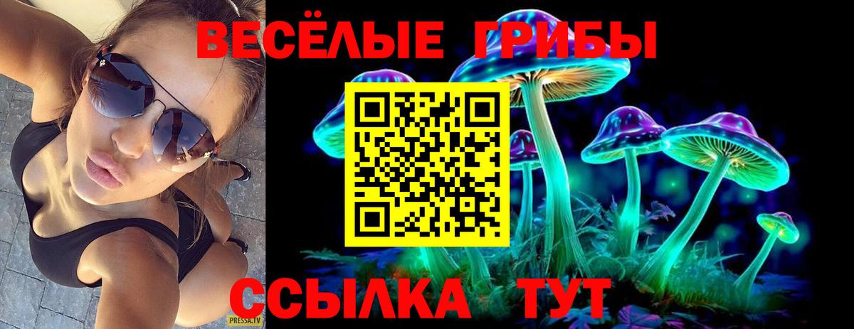Псилоцибиновые грибы мицелий Кызыл
